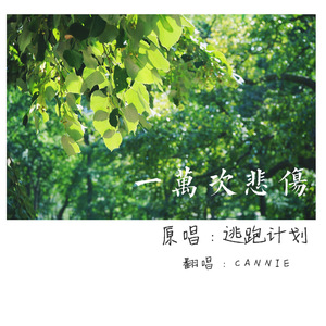 91成人淫淫一区
